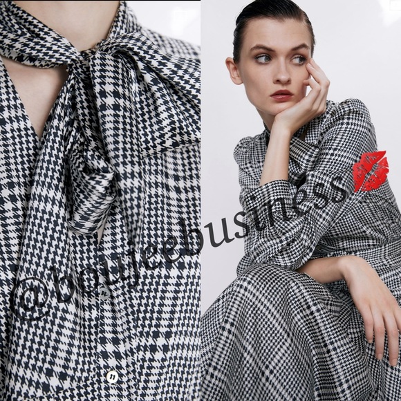 ZARA BNWT Printed Dress with Belt - Picture 4 of 5